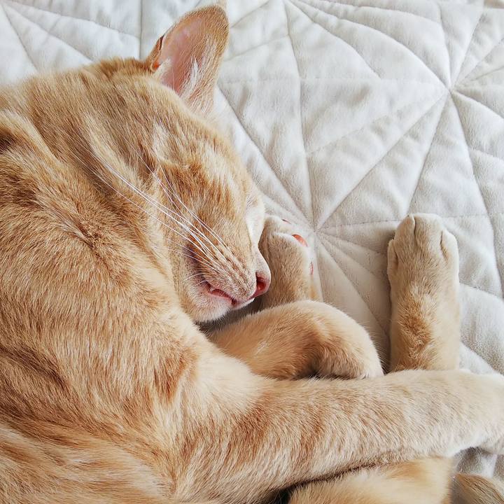 41a82a04 04a2 4752 808f b25e23241b02 1632100168102