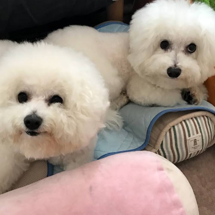 41a8360e ce9f 4f1c a327 8bea0e39b238 1557875742796