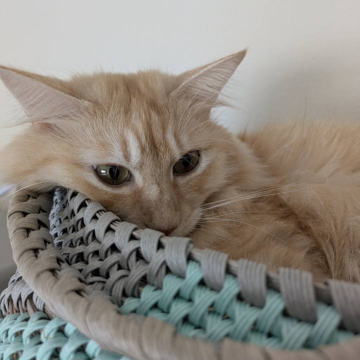 41a8562a c72f 4025 b1d3 f4f720a7afae 1759455796531