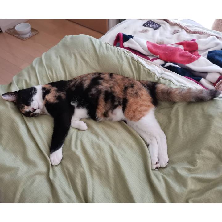 41a86510 ee0e 42e2 8798 4cf70d8bbac4 1620634869739