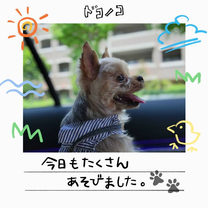 41a867cd 75a2 4999 b813 e046f22c68f5 1755262991179