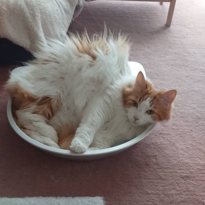 41a8a313 a4aa 4129 85d7 e8082da0c1b1 1561628246674