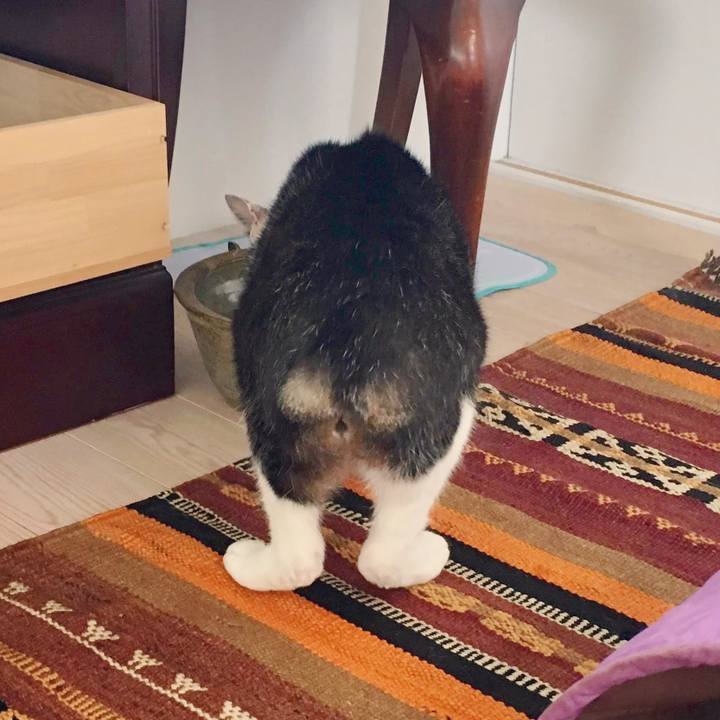 41a8c48f 4bfe 49b1 92c3 44c4caa9f34c 1591280324797