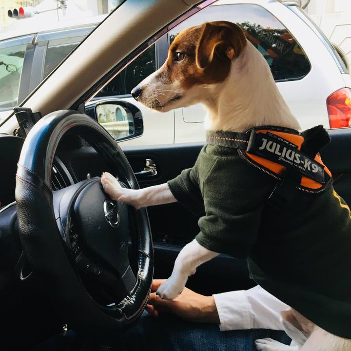 41a8dcfd df97 45e6 8184 2ae57466369a 1516269516823