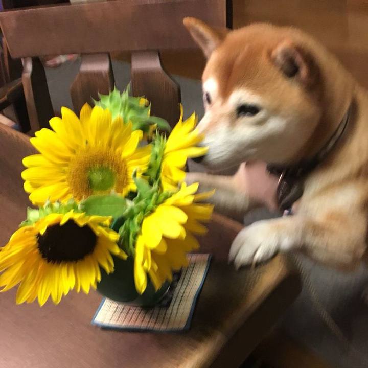 41a8fe80 73c4 437a 9369 d125f9353048 1533812020561