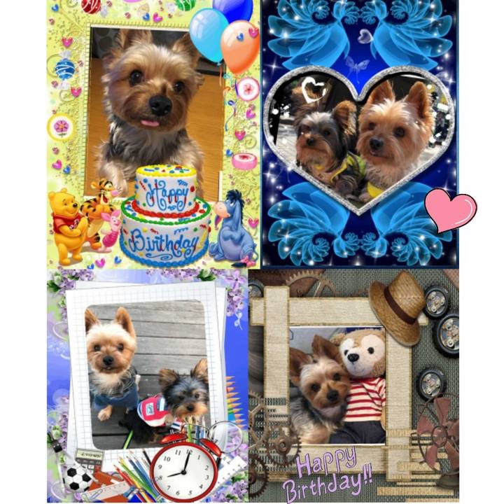 41a91dd6 f35c 455d 9900 f60e4ddc7cc3 1558905352383