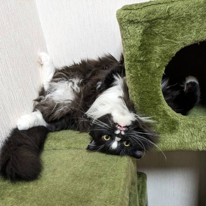 41a954d5 9003 41fe b9a1 3737b190dffc 1690287678228