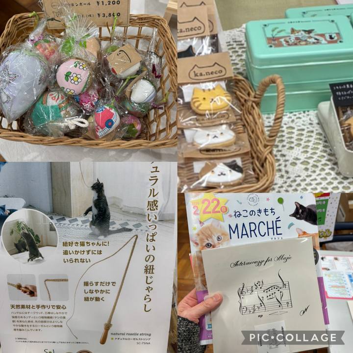 41a978f1 b71b 465c b272 473dc60e3c12 1771737568260