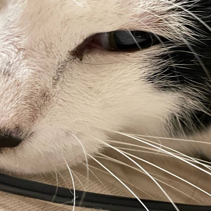 41a97dad 64b9 4ce8 9614 69b5ddd4154f 1658515272331