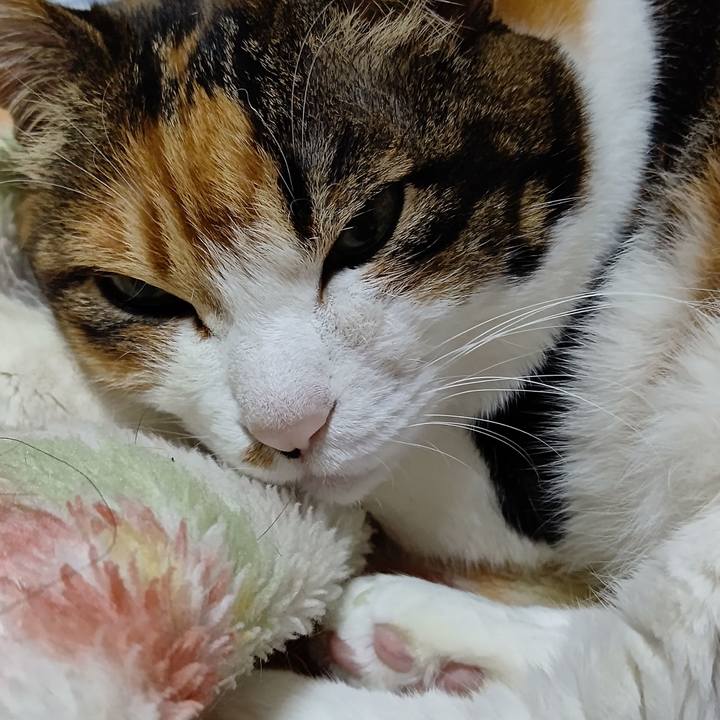 41a9b08f c0fb 4462 a7ae 1e35de02eb9a 1619347503278