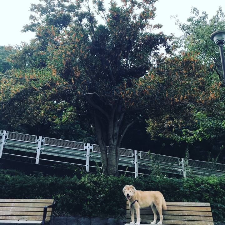 41a9b336 a046 4872 ad24 cdefd2ab4274 1601797258248