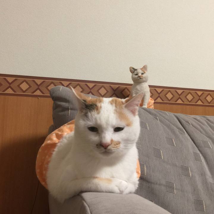 41a9cb39 c31d 421b 81f9 b46370ef1b33 1524573141251