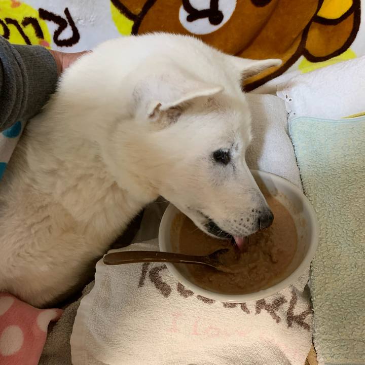 41aa3afe 453e 4eab 8e83 91c58455196b 1583492349282