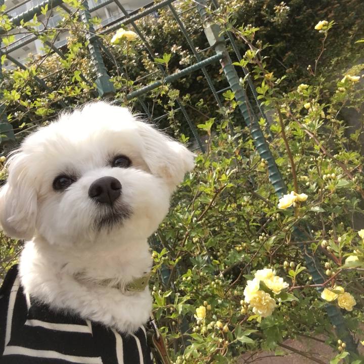 41aa4310 cc6c 4852 9ae9 e953656a0809 1586246945901