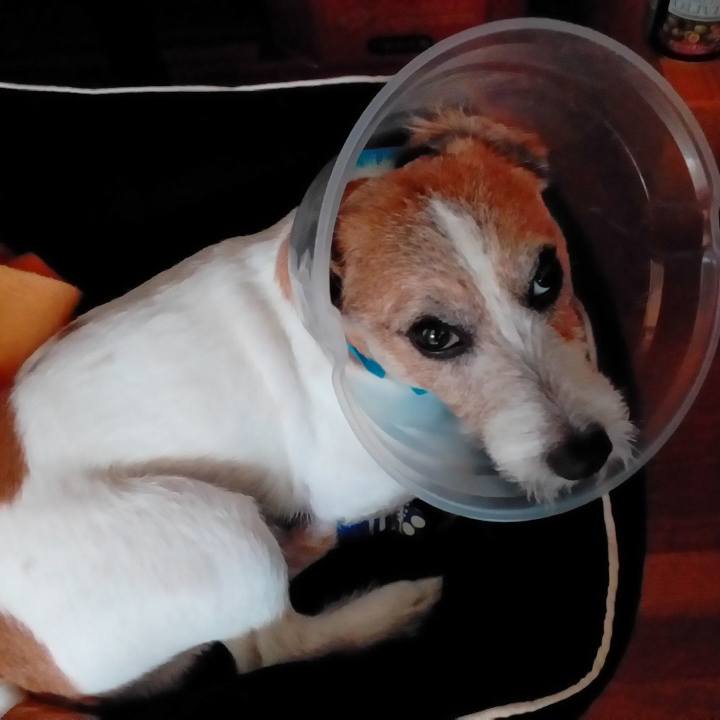 41aa5457 c2fb 4bb0 8cc1 f79515dd2ec0 1513061180637