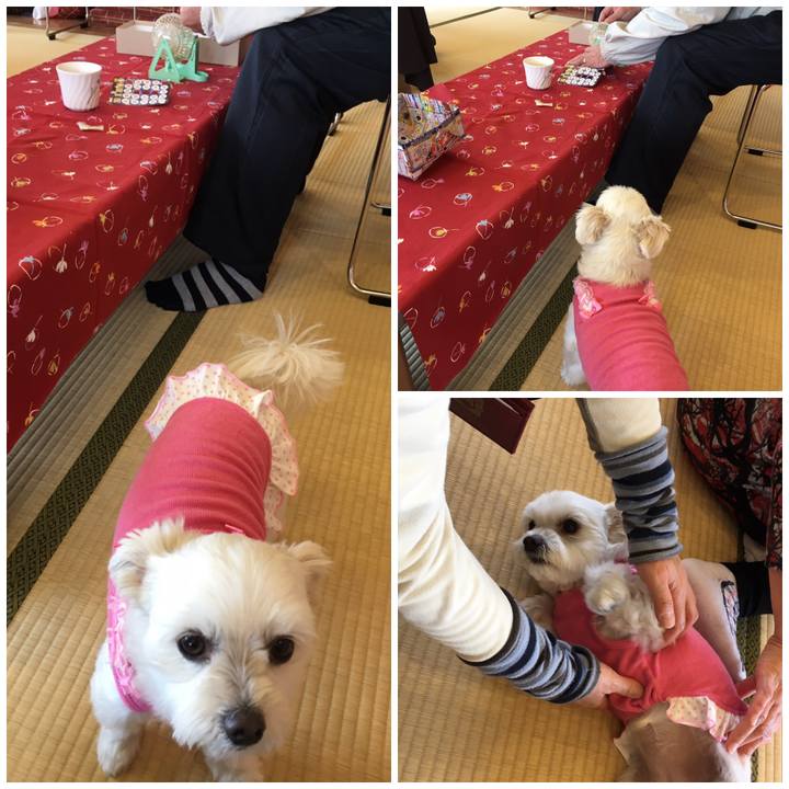 41aa5614 073a 4ce8 ad82 04df75a62656 1544514638885