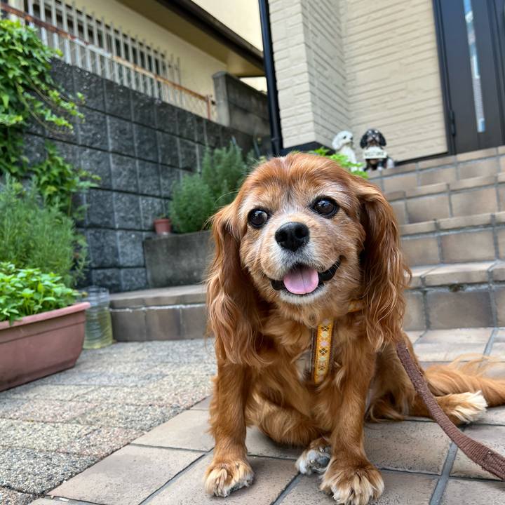 41aaf066 8757 4cbe 85fc 9ea330cdb76b 1753574976885