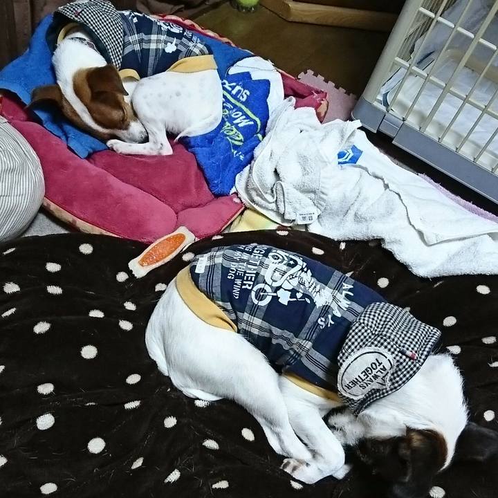 41ab0849 d113 4ef6 843f 6be86f60f9f1 1538806973487