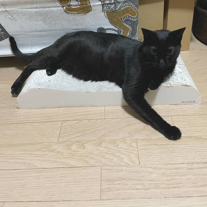 41ab25cd 8456 4b86 ac6f 5ce4212da118 1658408075655