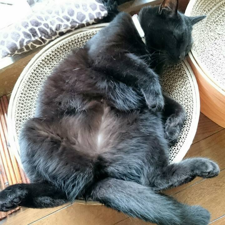 41ab2952 2da8 4ce2 85f0 58e46877a256 1530149678916