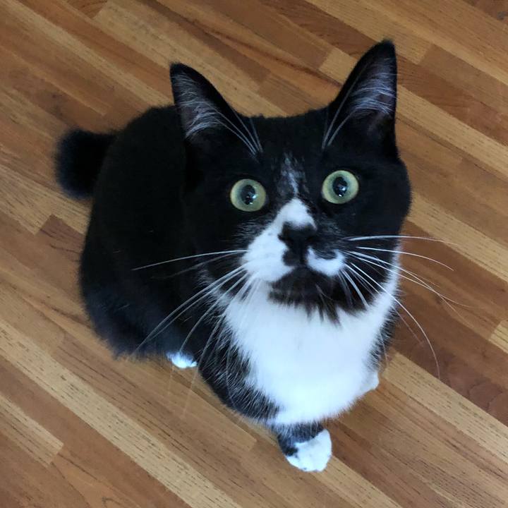 41ab2b6b 89bf 43db aa4b 01246ccd4316 1525332421293