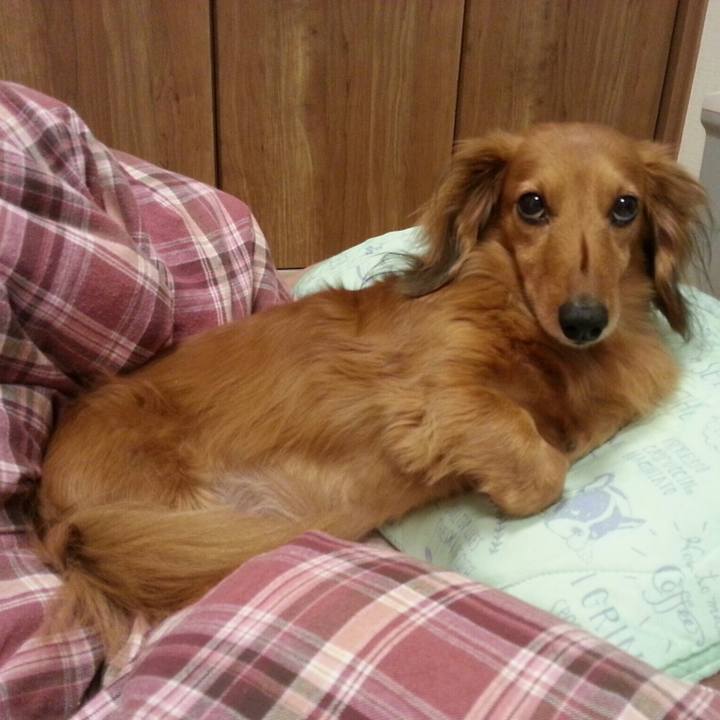 41ab5fc1 4084 4b25 a738 52926a1cb416 1521179574261