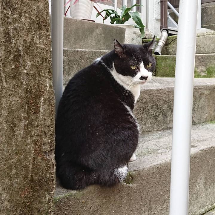 41ab8504 58b1 41c2 81e1 90a6b4745eb0 1663111465372