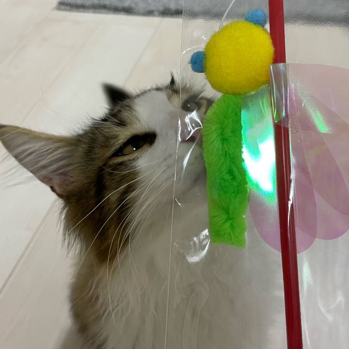 41ab9c0c cc8c 4378 b262 fe8f8e253e91 1637062423444