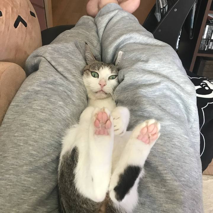 41aba3ba 0343 4841 bf30 255bff6d70e0 1624602080007