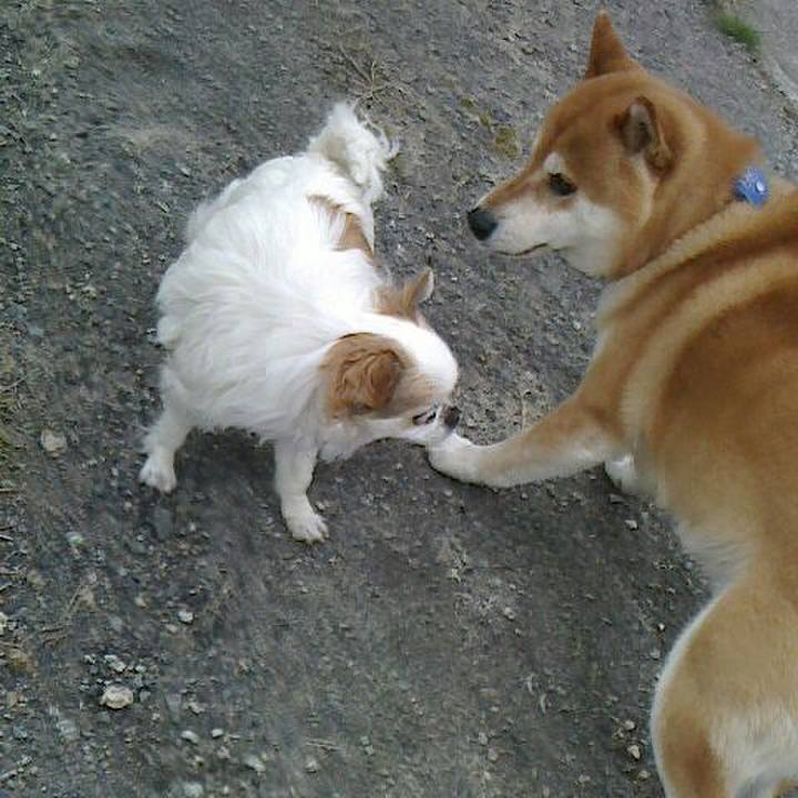 41abb4dc 9378 486c a84e 5663067d368f 1556109769923