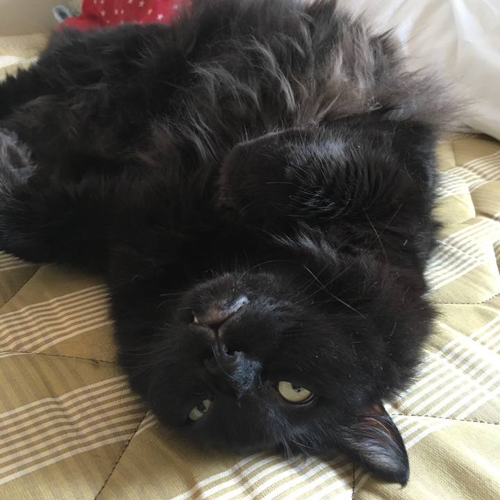 41abd7f1 0a25 4c9e 814f 294fd8df86f5 1534816363118