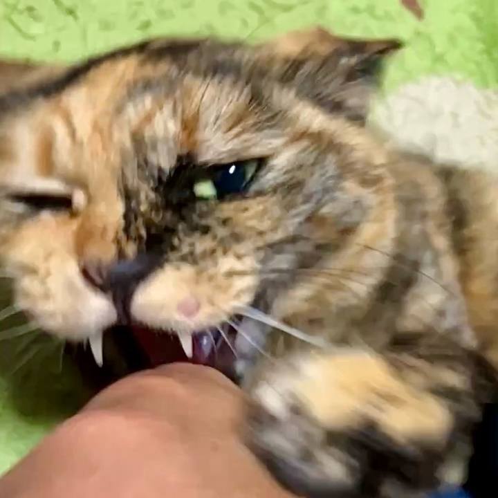 41ac627b 3280 44f2 ba87 c4325502c4b2 1740916581843