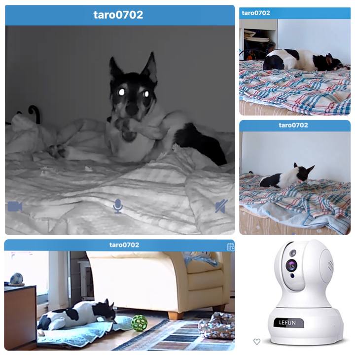 41ac891e 7f91 4b62 9a65 11a2a6ba9b19 1567072566912