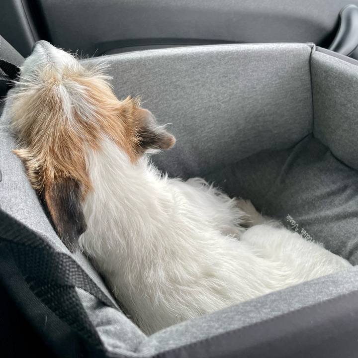 41aca652 93e9 4f07 a46c d5f57b776094 1680841062827