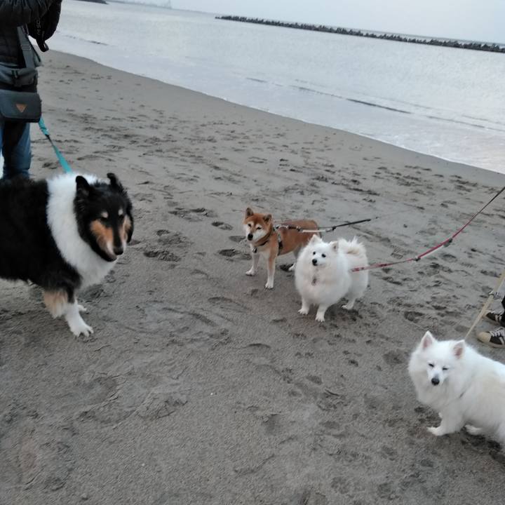 41accd02 ebbd 43bc 98de b6f4b7ef52c5 1518349465196