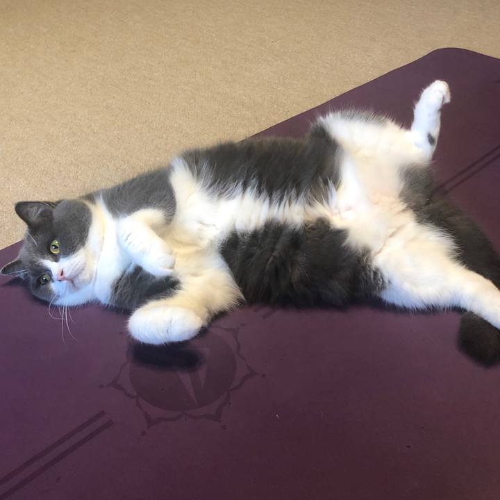 41acf92b 8681 473e a61a 32cf49616c4c 1599956410899