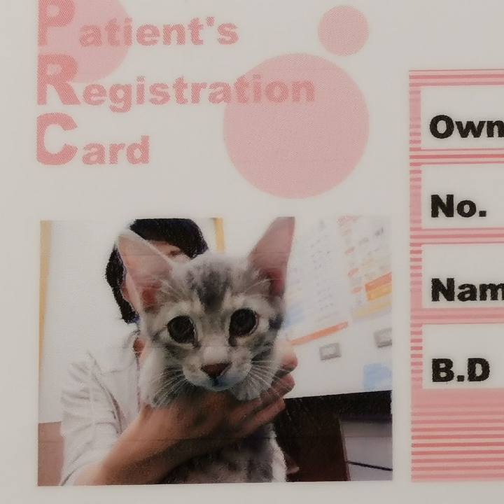 41ad6c74 1fbb 4236 a43a 0c8796bedc6a 1626839393412