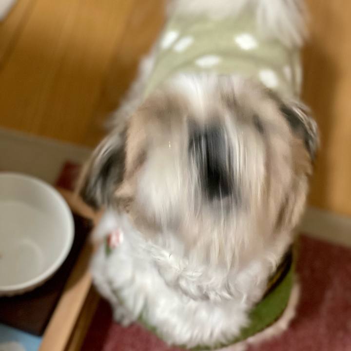 41adad7b f1ba 4e03 845e 99957db20518 1669384480844