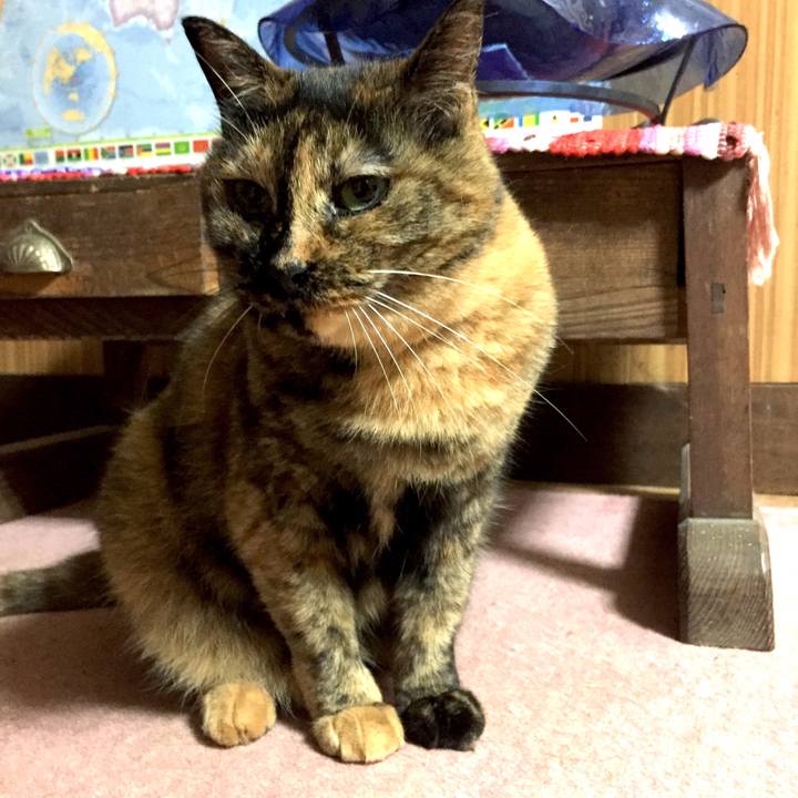 41adc09f 25de 4251 aafb 9b1e994a7d6f 1537361777545