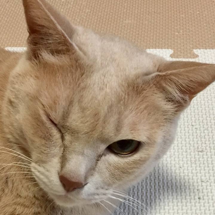 41adc790 a4b4 4a70 872b 6c9a9a44dc98 1508935791316