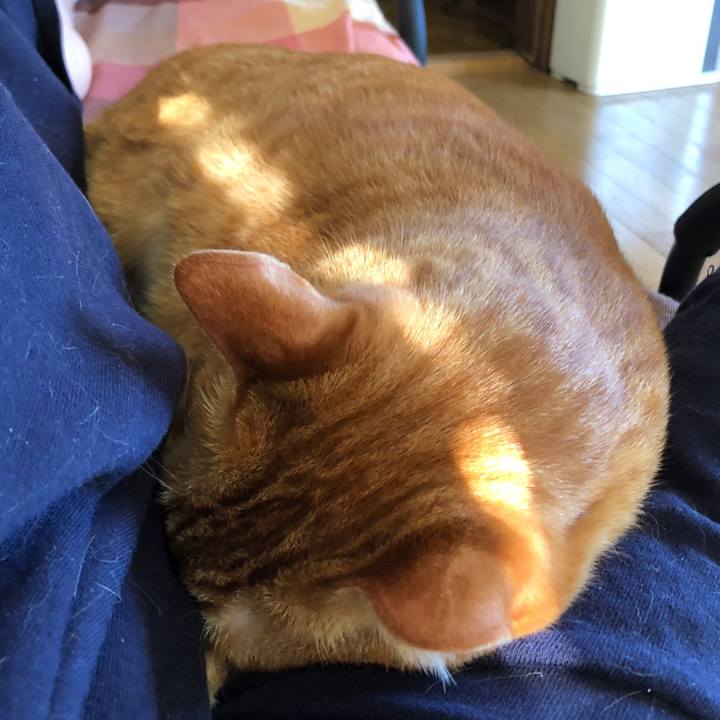 41adce89 50bc 4de6 b2fe f53d4d10c5c3 1715983799428