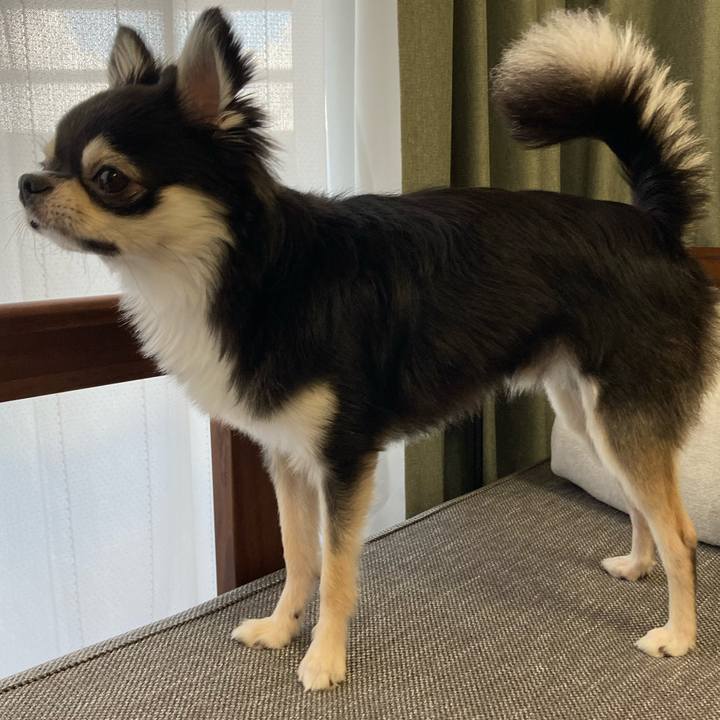 41add4ad a813 44aa 8a54 715951120074 1627167510272