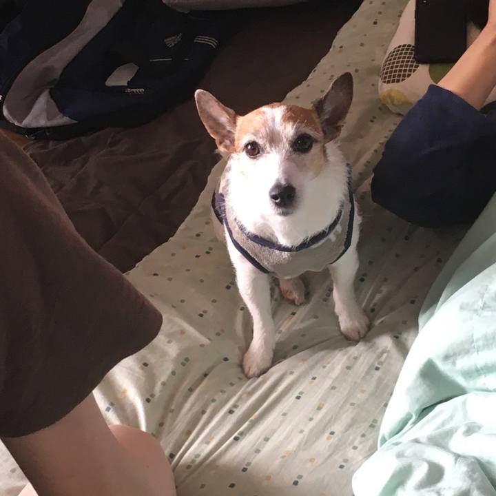 41ade51a 385a 4b91 be16 480e5baa2511 1648769127438