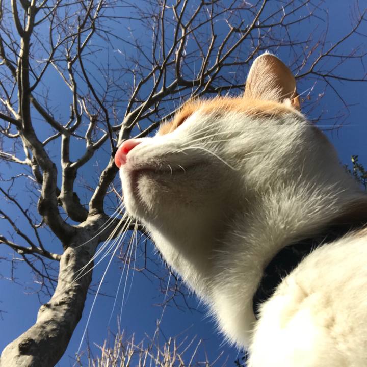 41ae0669 79ef 4d74 89b7 62579142ee48 1518683177972