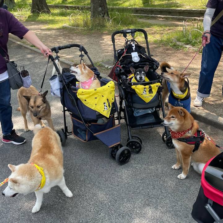 41ae11f9 b717 42bf 839d 508a3eb04b34 1650714291197