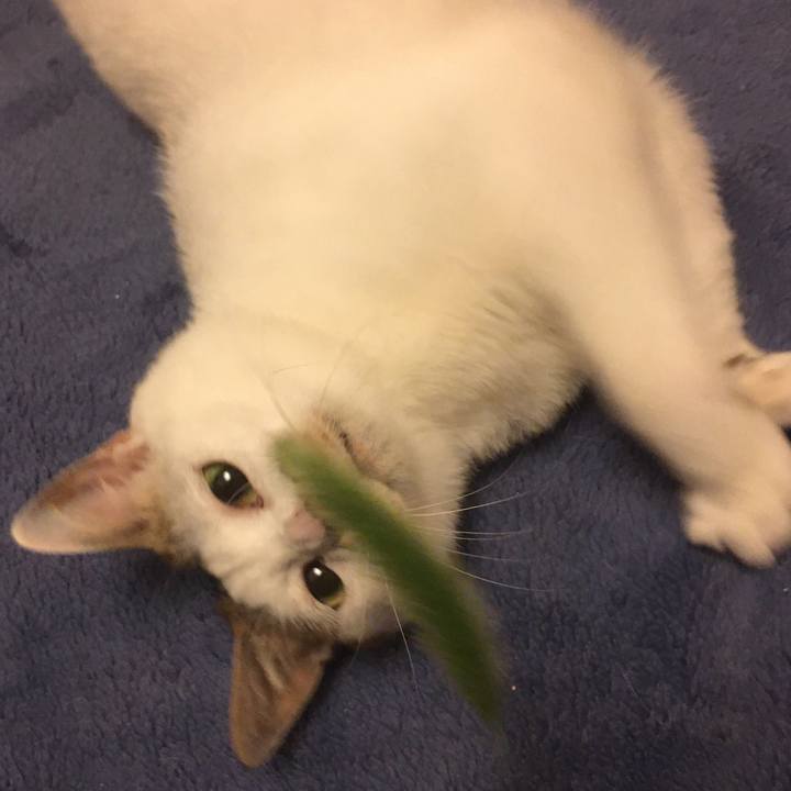 41ae23ea b498 4411 81c0 85b1e5f810e4 1626014466842