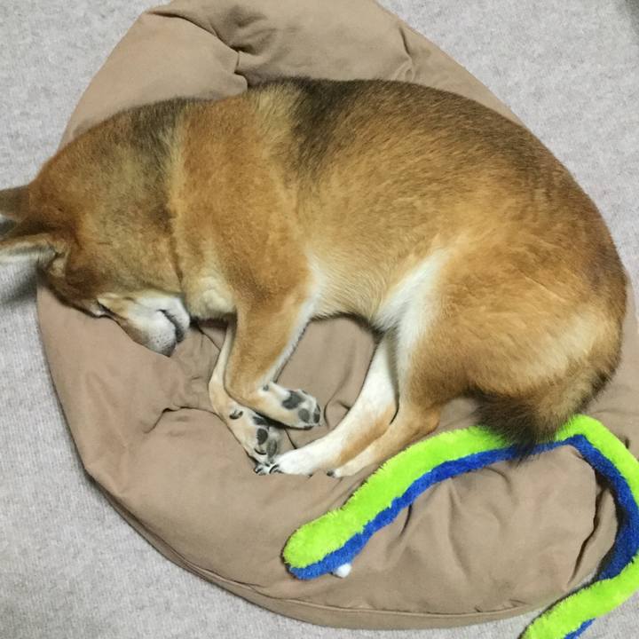 41ae2f2c 2103 453d accc 720f0eb2d378 1568373809336