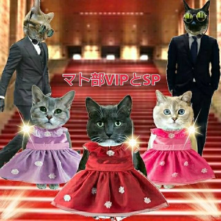 41ae3d14 673b 4acd ac96 0412829c4515 1557059017331