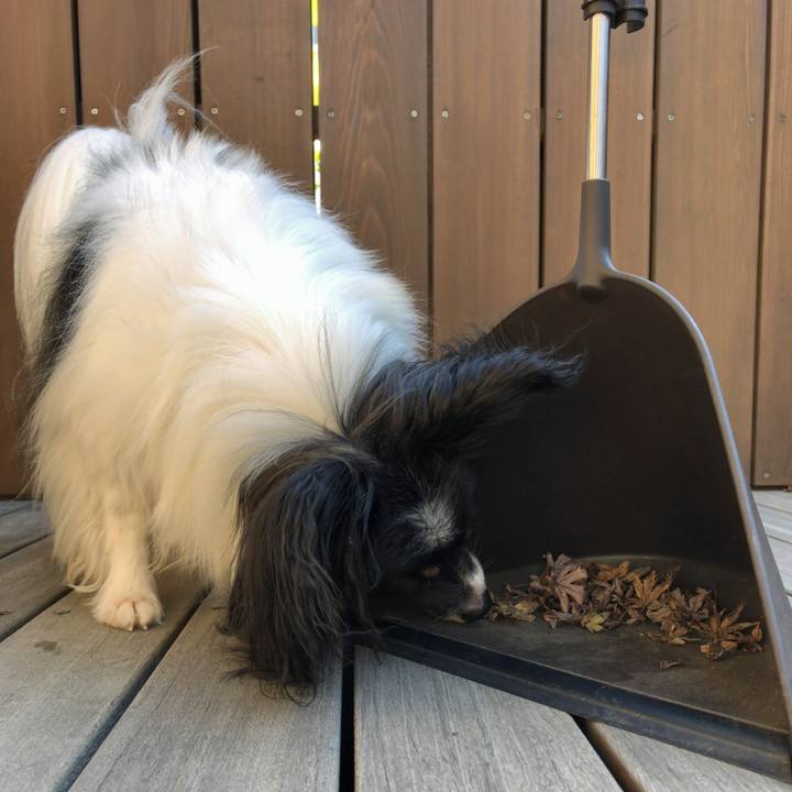 41ae44be 000c 4be2 8ef3 a0165f9c254d 1540083077194