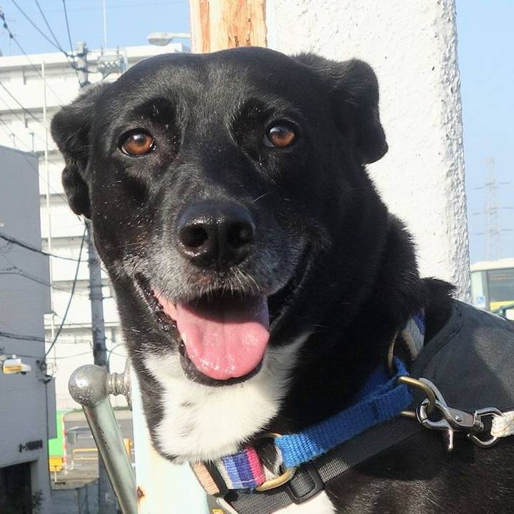 41ae5d6f 0fab 4223 a933 454c906d7fb7 1664238468074